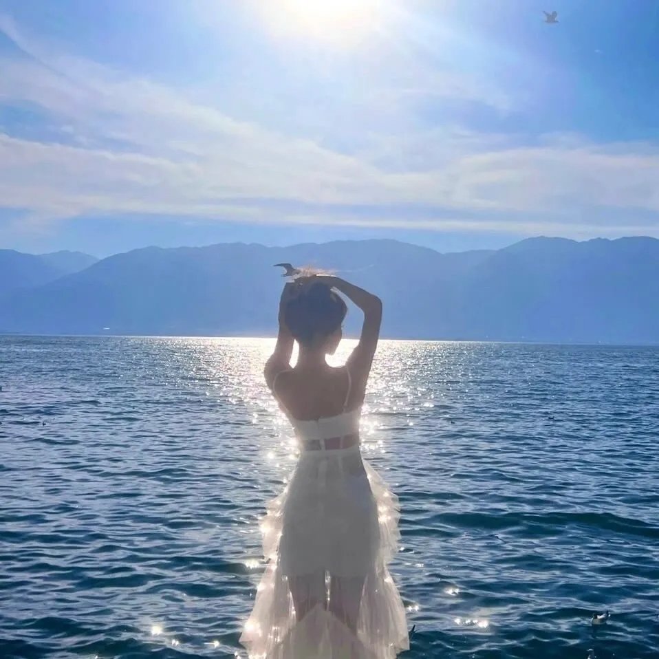 速度与激情：特工飞车手第三季